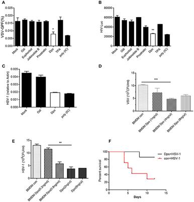 E. fischeriana Root Compound Dpo Activates Antiviral Innate Immunity